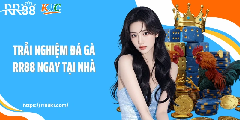 Trải nghiệm đá gà RR88 ngay tại nhà